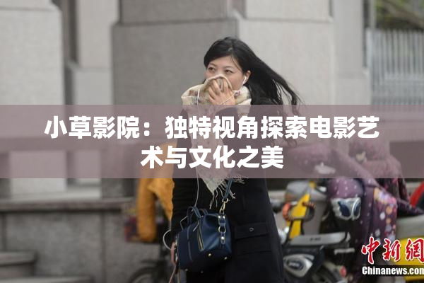 小草影院：独特视角探索电影艺术与文化之美