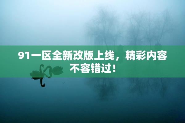 91一区全新改版上线，精彩内容不容错过！