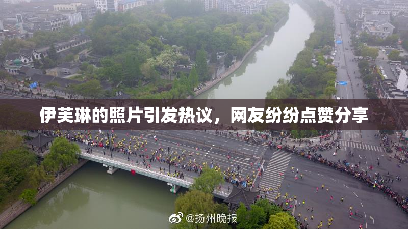伊芙琳的照片引发热议，网友纷纷点赞分享