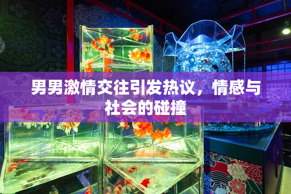 男男激情交往引发热议，情感与社会的碰撞