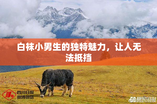 白袜小男生的独特魅力，让人无法抵挡
