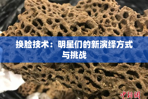 换脸技术：明星们的新演绎方式与挑战