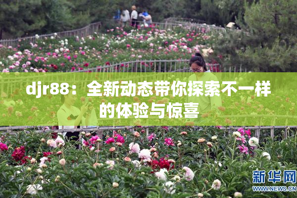 djr88：全新动态带你探索不一样的体验与惊喜