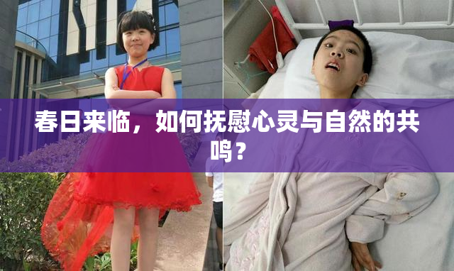 春日来临，如何抚慰心灵与自然的共鸣？
