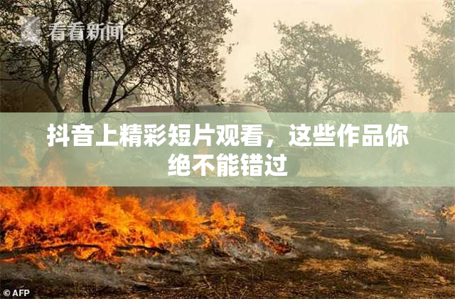 抖音上精彩短片观看，这些作品你绝不能错过