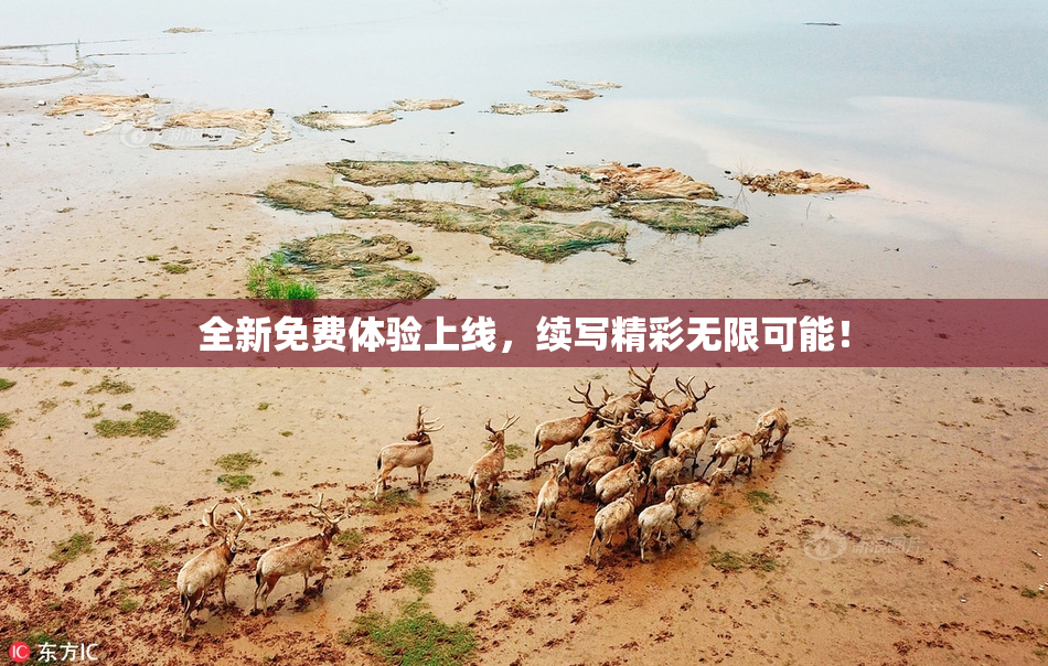 全新免费体验上线，续写精彩无限可能！