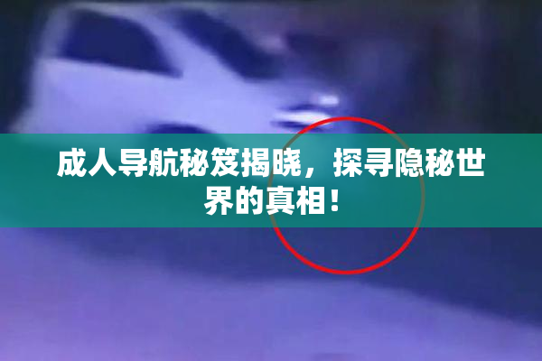 成人导航秘笈揭晓，探寻隐秘世界的真相！
