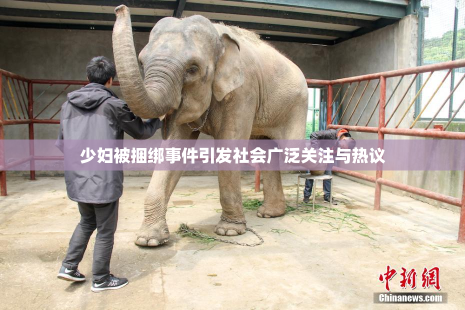 少妇被捆绑事件引发社会广泛关注与热议