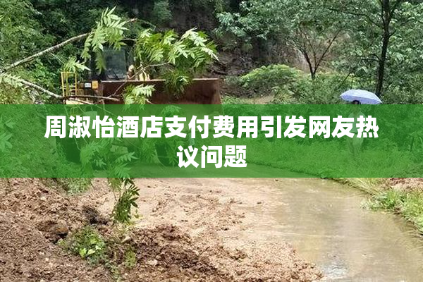 周淑怡酒店支付费用引发网友热议问题