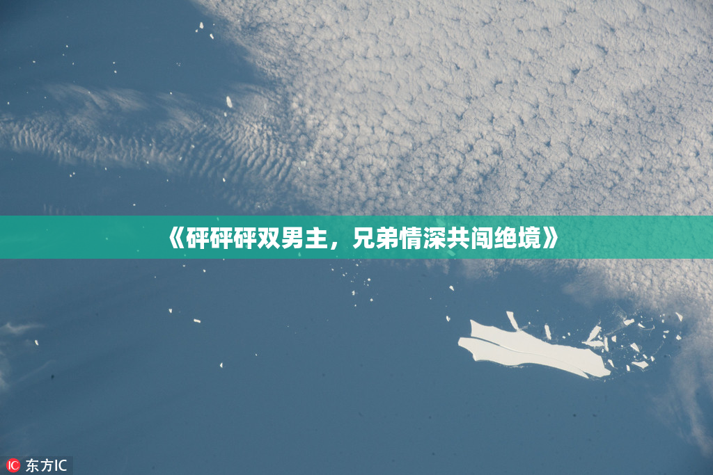 《砰砰砰双男主，兄弟情深共闯绝境》