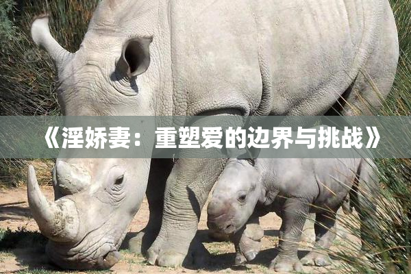 《淫娇妻：重塑爱的边界与挑战》