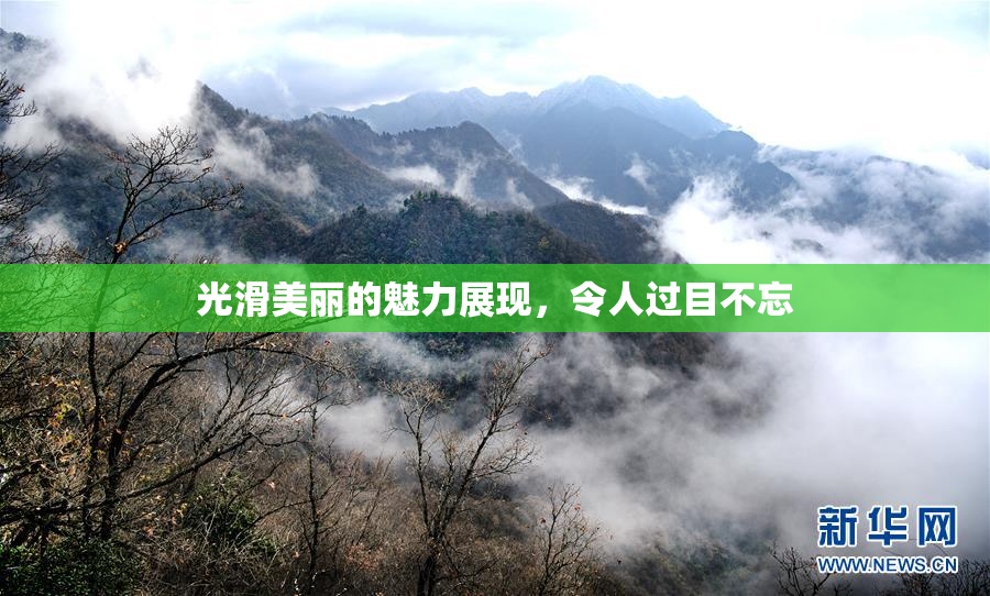 光滑美丽的魅力展现，令人过目不忘