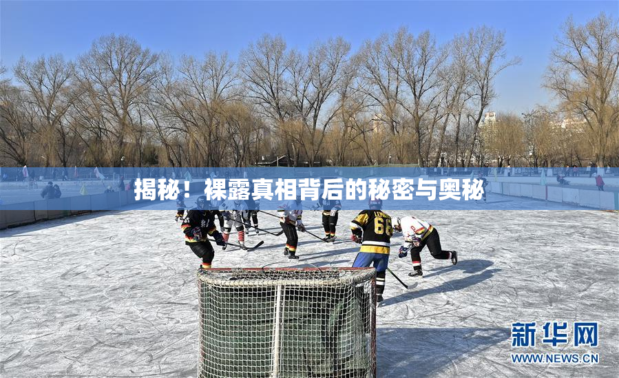 揭秘！裸露真相背后的秘密与奥秘
