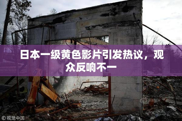 日本一级黄色影片引发热议，观众反响不一