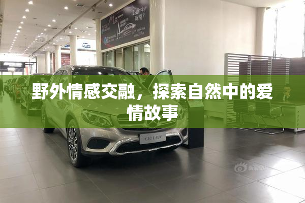 野外情感交融，探索自然中的爱情故事