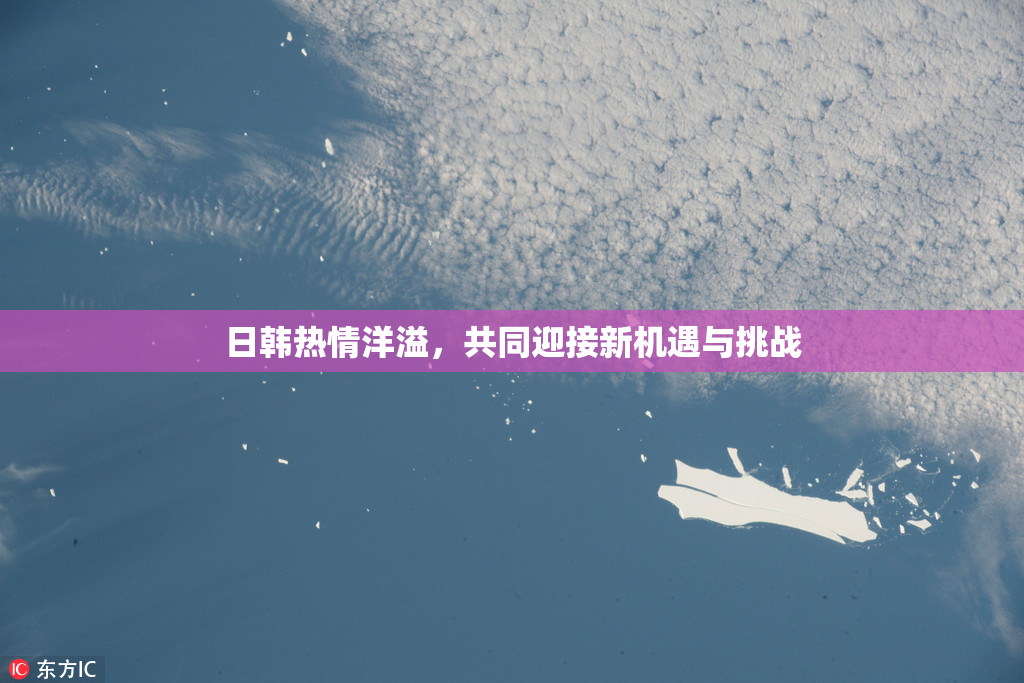日韩热情洋溢，共同迎接新机遇与挑战