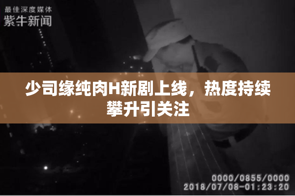少司缘纯肉H新剧上线，热度持续攀升引关注