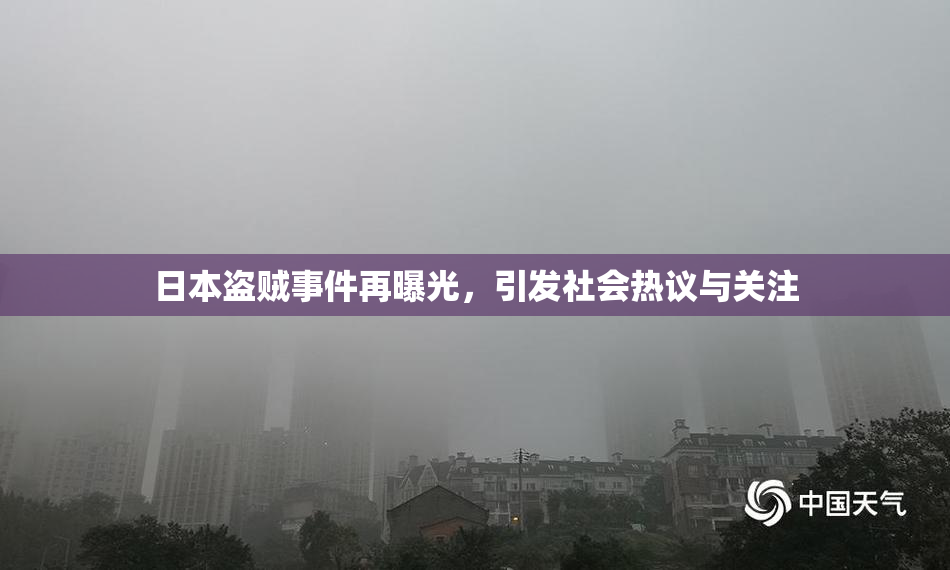 日本盗贼事件再曝光，引发社会热议与关注