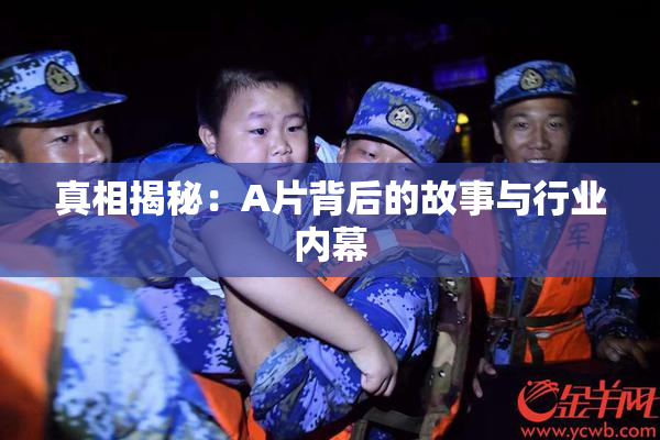 真相揭秘：A片背后的故事与行业内幕