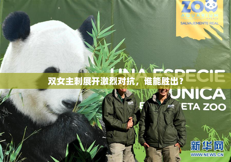 双女主刺展开激烈对抗，谁能胜出？