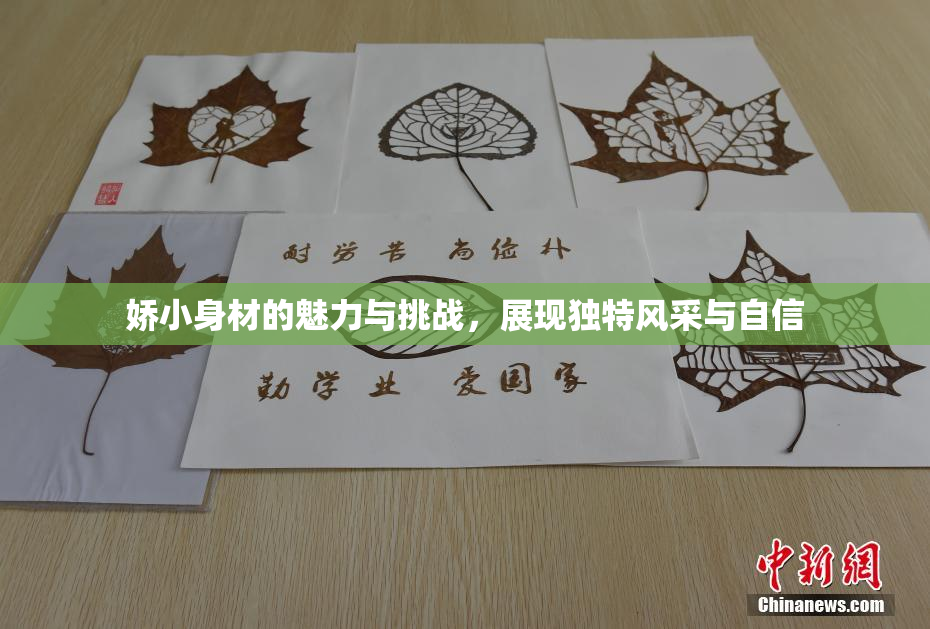 娇小身材的魅力与挑战，展现独特风采与自信