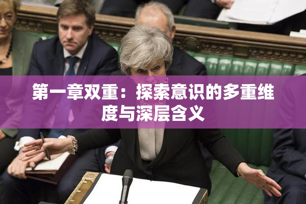 第一章双重：探索意识的多重维度与深层含义