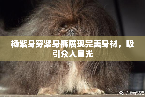 杨紫身穿紧身裤展现完美身材，吸引众人目光