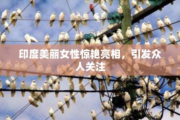 印度美丽女性惊艳亮相，引发众人关注