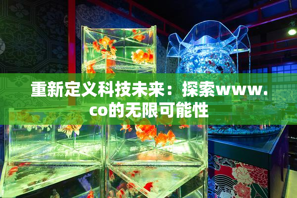 重新定义科技未来：探索www.co的无限可能性