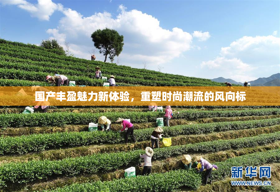 国产丰盈魅力新体验，重塑时尚潮流的风向标