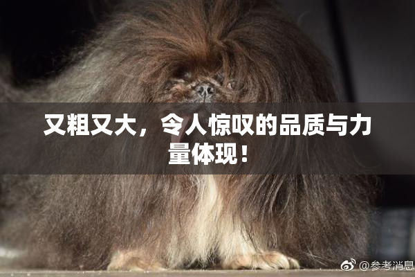 又粗又大，令人惊叹的品质与力量体现！