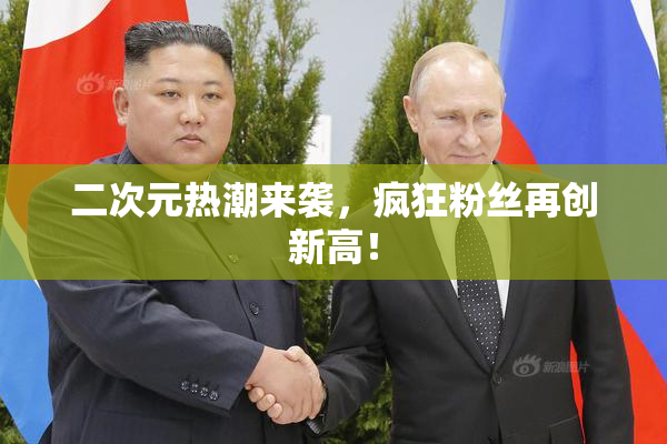 二次元热潮来袭，疯狂粉丝再创新高！