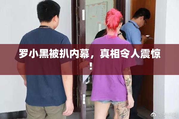 罗小黑被扒内幕，真相令人震惊！