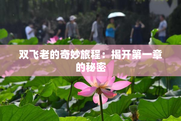 双飞老的奇妙旅程：揭开第一章的秘密