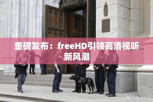 重磅发布：freeHD引领高清视听新风潮