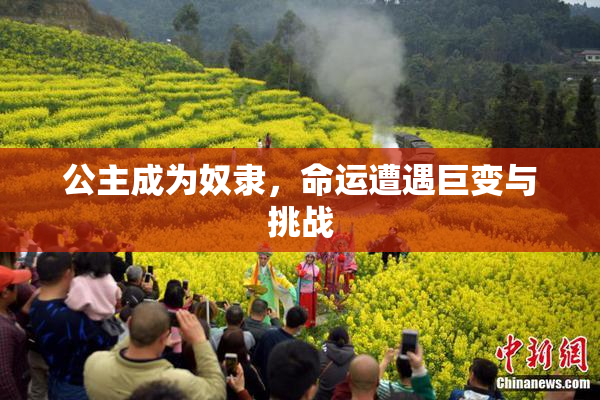 公主成为奴隶，命运遭遇巨变与挑战