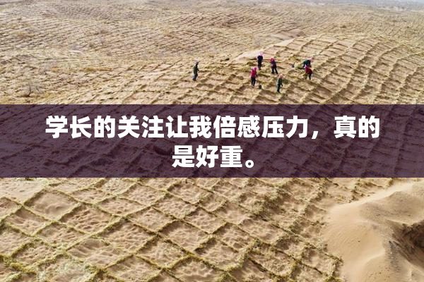 学长的关注让我倍感压力，真的是好重。