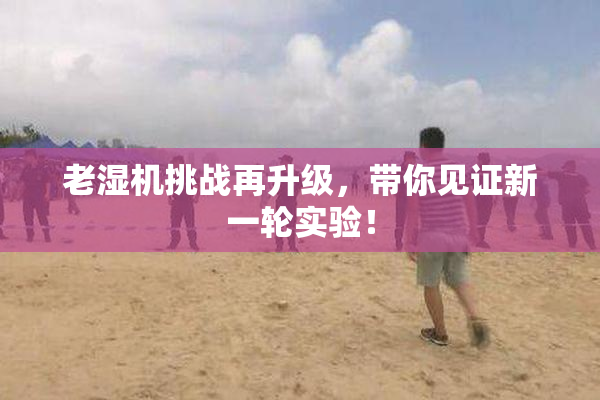 老湿机挑战再升级，带你见证新一轮实验！