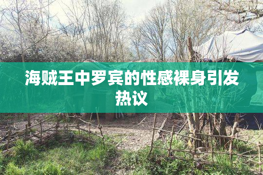 海贼王中罗宾的性感裸身引发热议