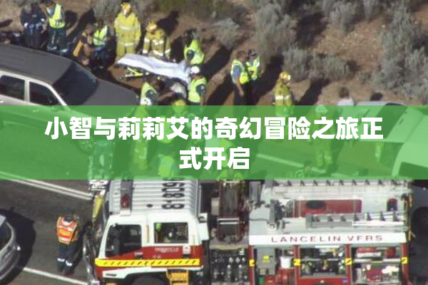 小智与莉莉艾的奇幻冒险之旅正式开启