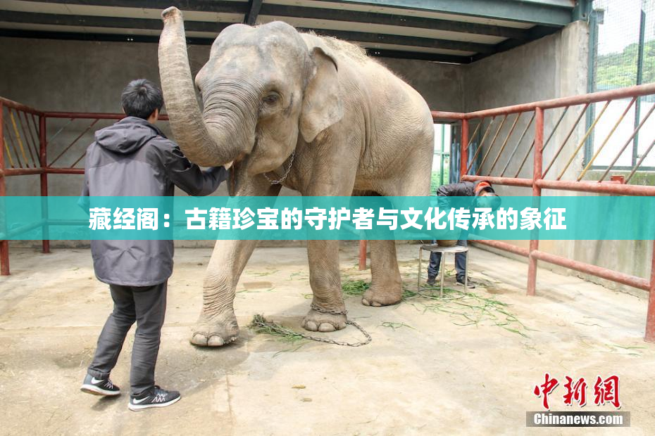 藏经阁：古籍珍宝的守护者与文化传承的象征