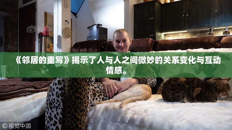 《邻居的重写》揭示了人与人之间微妙的关系变化与互动情感。