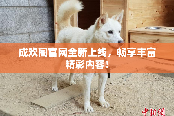 成欢阁官网全新上线，畅享丰富精彩内容！