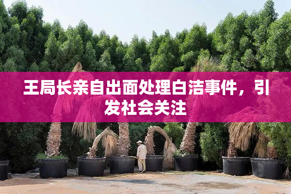 王局长亲自出面处理白洁事件，引发社会关注