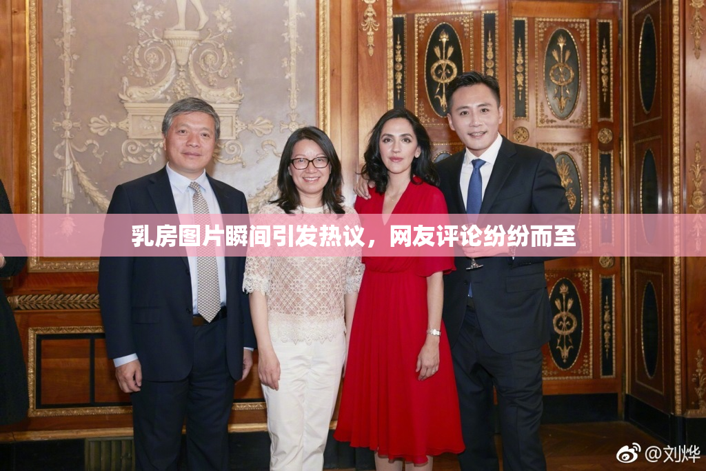 乳房图片瞬间引发热议，网友评论纷纷而至