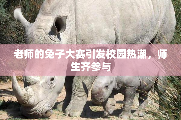 老师的兔子大赛引发校园热潮，师生齐参与