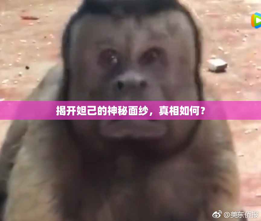 揭开妲己的神秘面纱，真相如何？