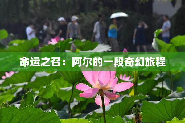 命运之召：阿尔的一段奇幻旅程