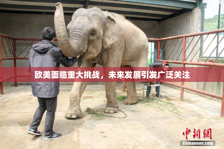 欧美面临重大挑战，未来发展引发广泛关注