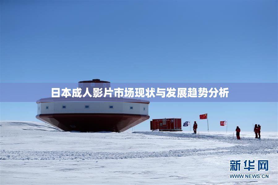 日本成人影片市场现状与发展趋势分析